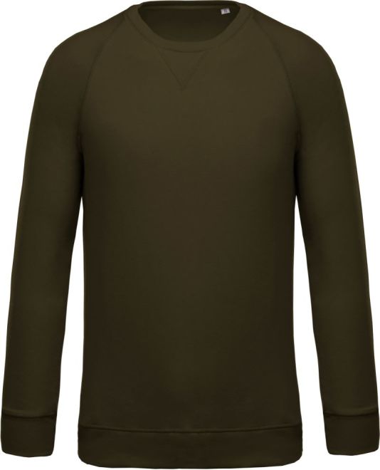 Herren Bio Raglan Sweater