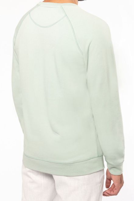 Herren Bio Raglan Sweater