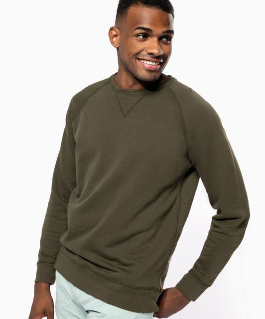 Herren Bio Raglan Sweater