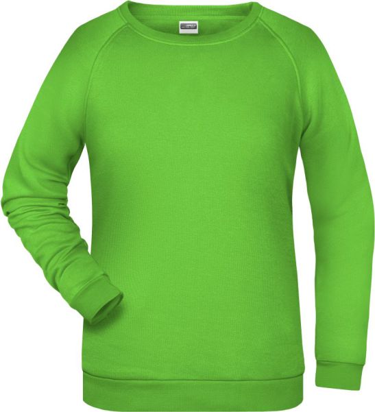 Ladies Raglan Sweater  |  Art. Nr. JN 793