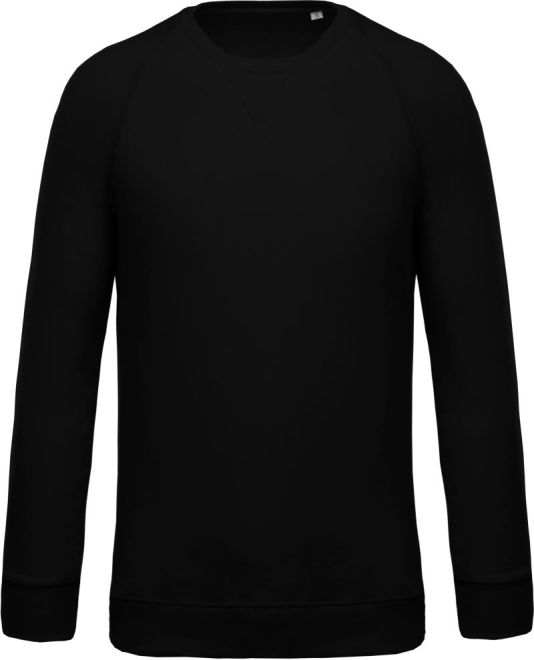 Herren Bio Raglan Sweater