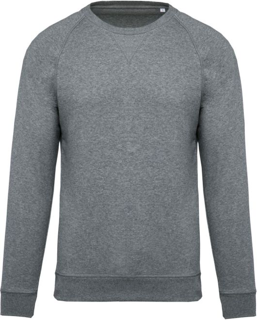 Herren Bio Raglan Sweater