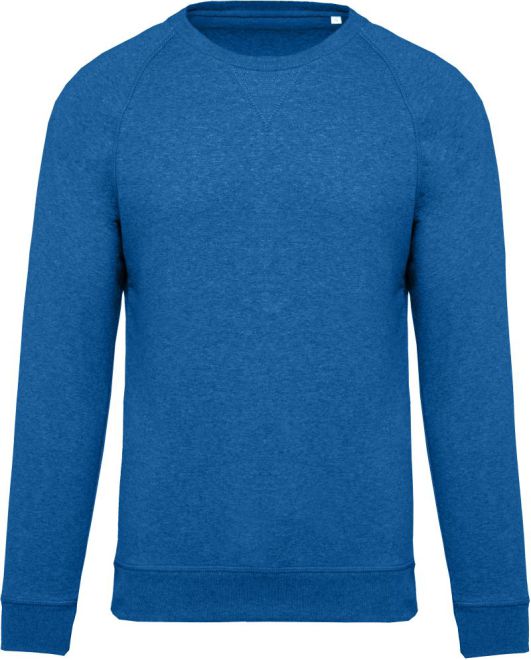 Herren Bio Raglan Sweater