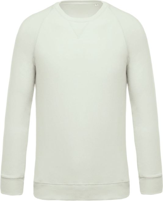 Herren Bio Raglan Sweater
