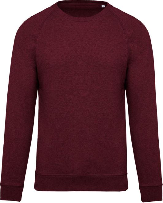 Herren Bio Raglan Sweater