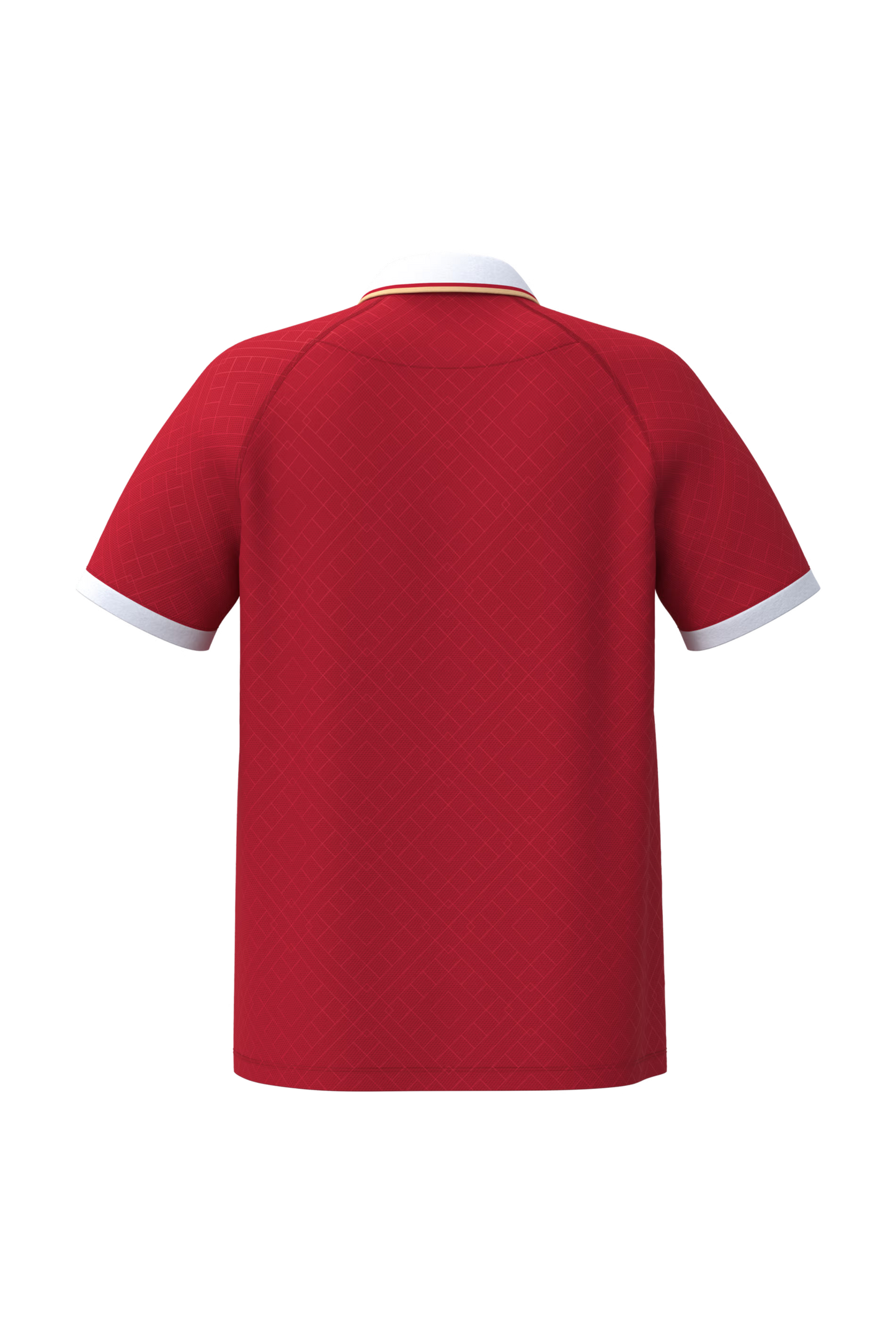Unisex Lifestyle Trikot  |  Art. Nr. PA 497